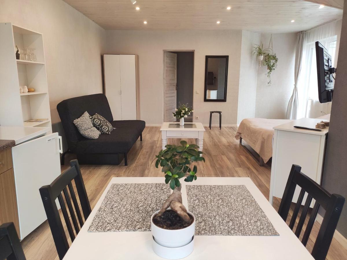 Family House 호텔 드루스키닝카이 외부 사진
